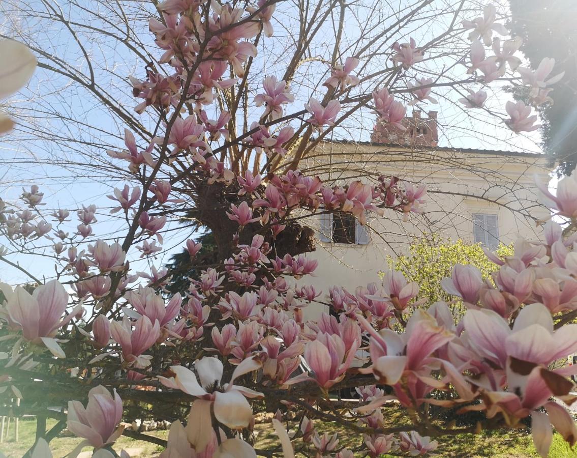 Maison Tuscany Bed&Breakfast Sinalunga Exterior photo